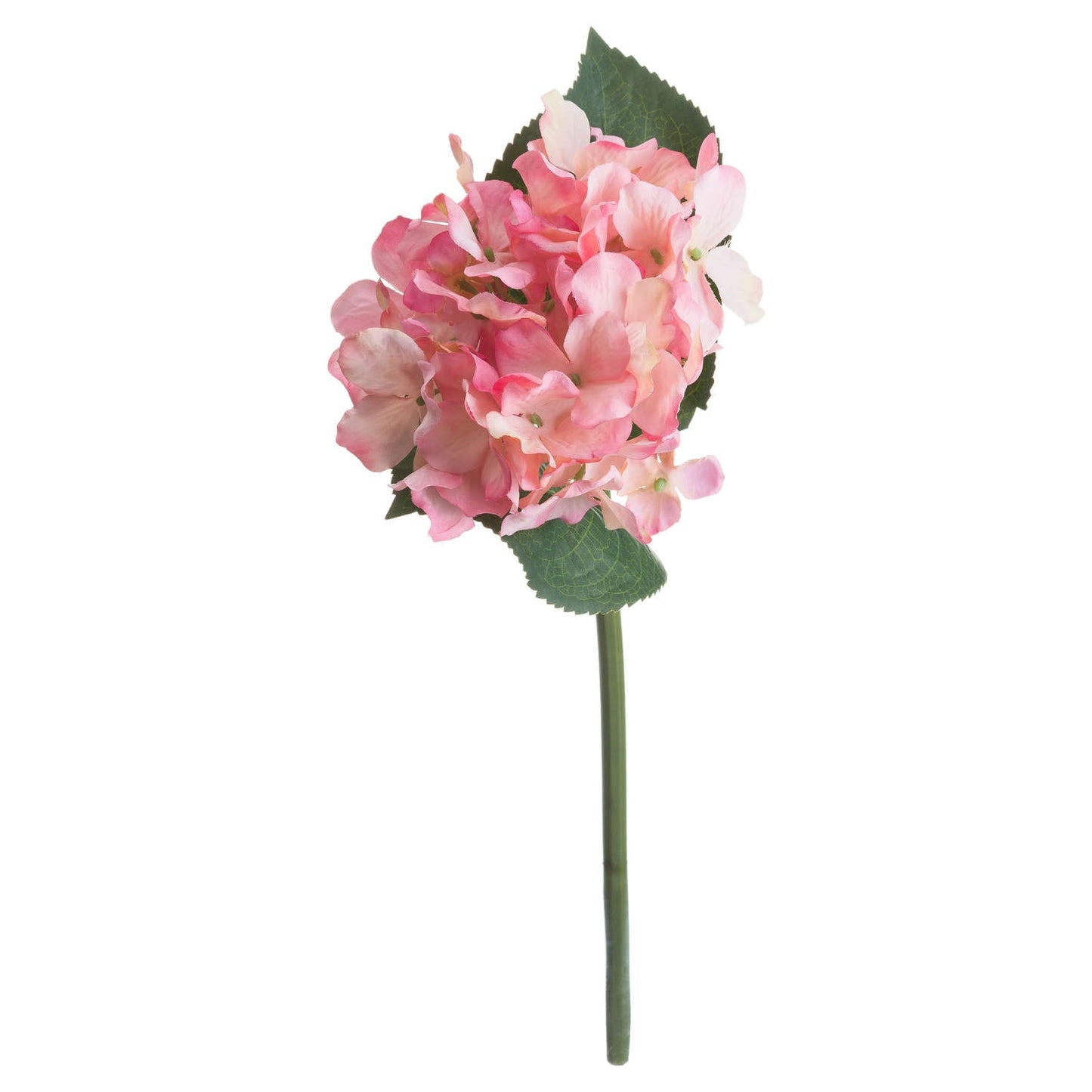 Pink Posy Hydrangea