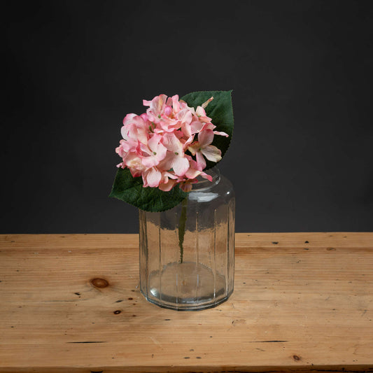 Pink Posy Hydrangea
