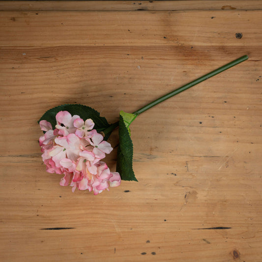 Pink Posy Hydrangea